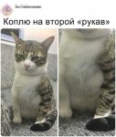 1558945675.jpg