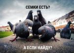 prikolnie-kartinki-i-memasiki-35-sht-17.jpg