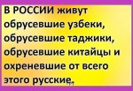 IMG-9fedca44505d1342410b7cc7b92684f0-V.jpg