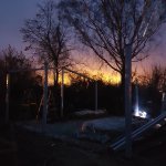 IMG_20191213_170610_747.jpg