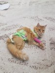20201207_172403.jpg