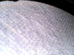 Photo-2.jpeg