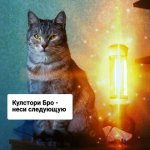 edited_image (10).jpg