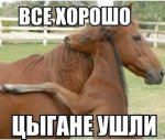 IMG_20240419_163011_607.jpg