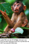 IMG_20240601_204932.png