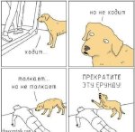 IMG_20240808_100744_335.jpg