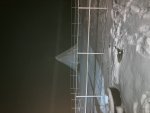 IMG_5251.jpeg