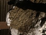 IMG_5253.jpeg