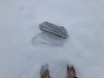 IMG_5347.jpeg