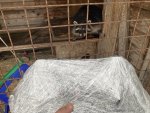 IMG_5351.jpeg