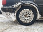 IMG_5554.jpeg