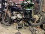 IMG_5566.jpeg