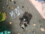 IMG_20251003_152911.jpg